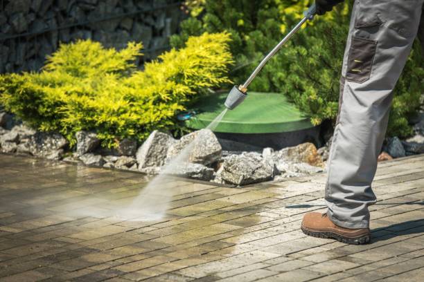 Best Gutter Cleaning  in Walker Mill, MD